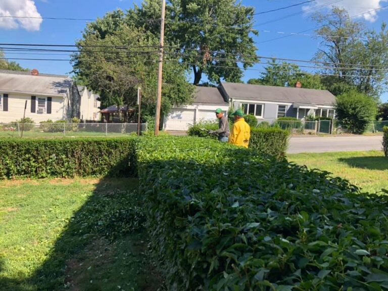 hedge_shrub_trimming1