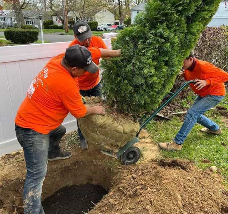 Top Rated Landscaping